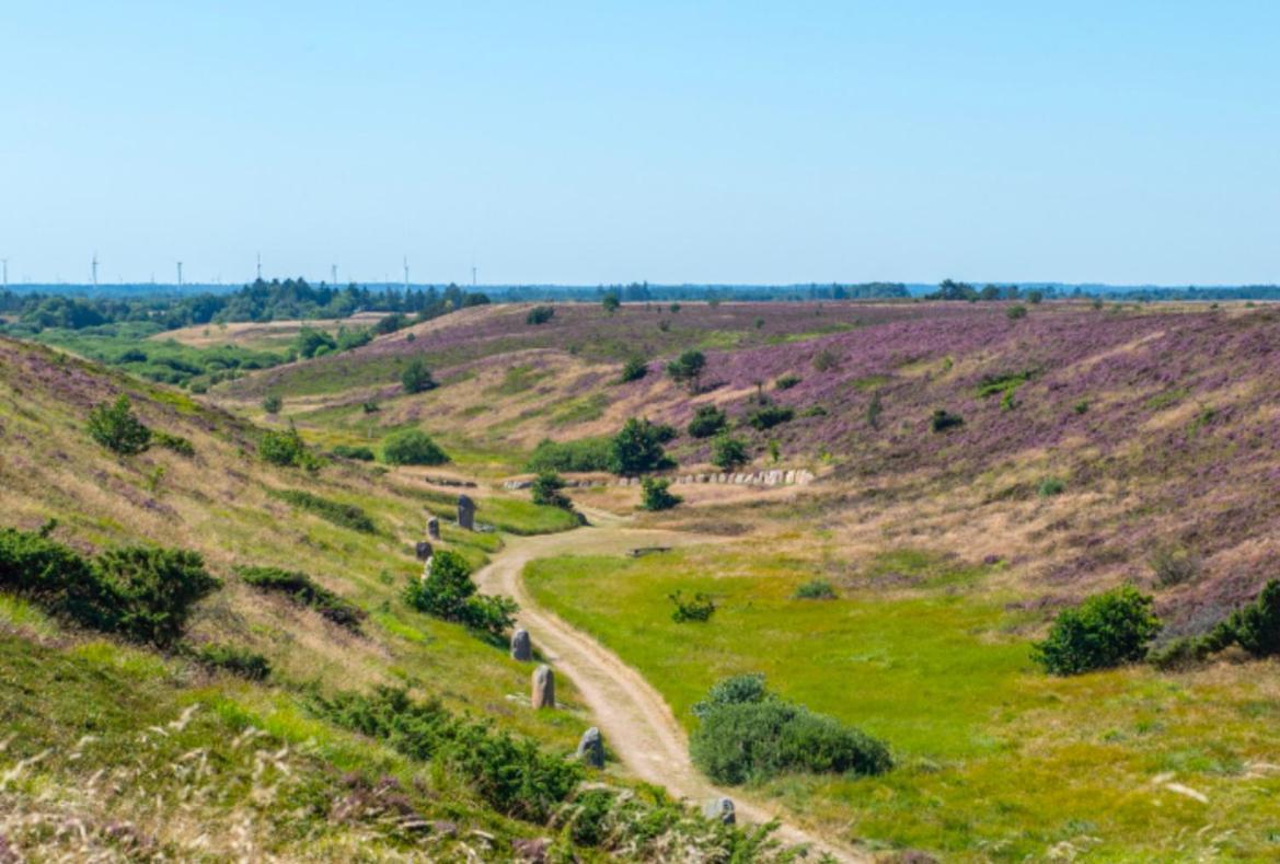 Benslehoj Farm stay Karup